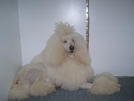 neige